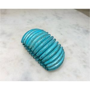 Faux Turquoise Howlite Flat Bead Stretch Bracelet
